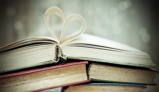 30���ɹ�����־�鼮