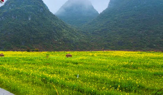 Сѧ���λ�ܽ᷶�ļ�����ƪ